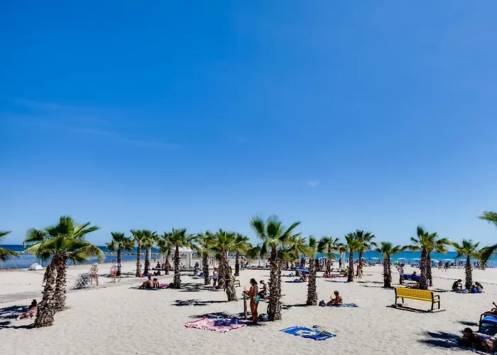 Rambla 43 * Alicante